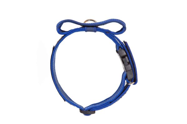 Julius K9 SuperGrip Halsband - Bild 4