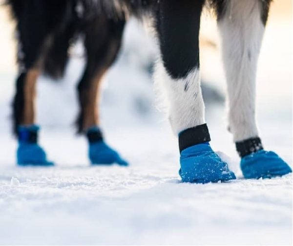 Non-Stop Dogwear Long Distance Bootie - Bild 2