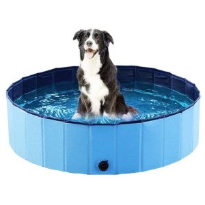 Hund Pool