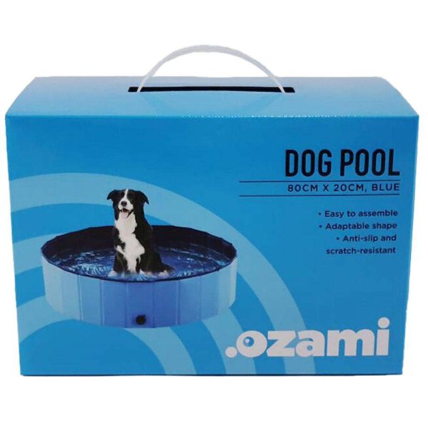 Hund Pool - Bild 2