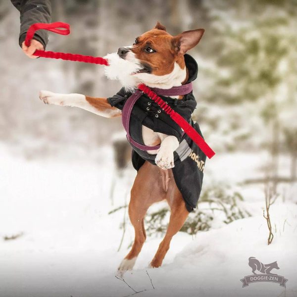 Doggie-Zen - Elastisk fårskinnskampis två handtag - Bild 4